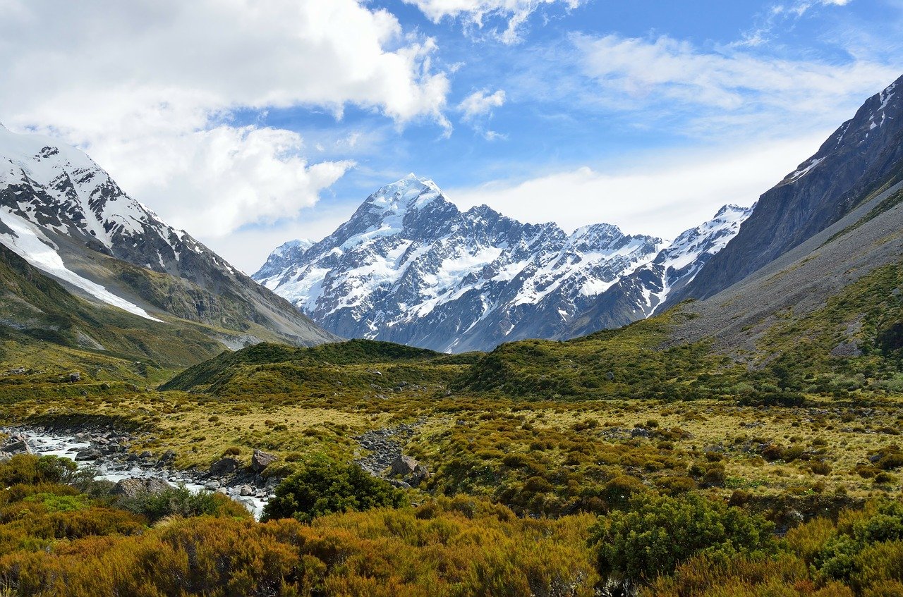 Read more about the article (par 4.2.3.2.1) Alpine Tundra Ecosystem