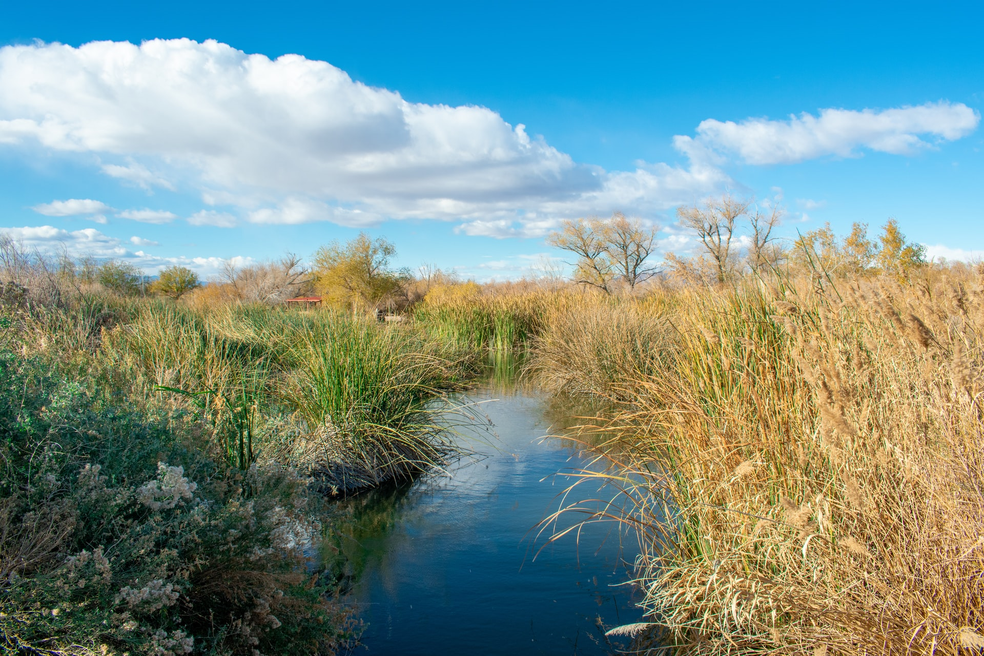 Read more about the article (par 4.2.4.2.1.2) Wetland (taken from wikipedia)