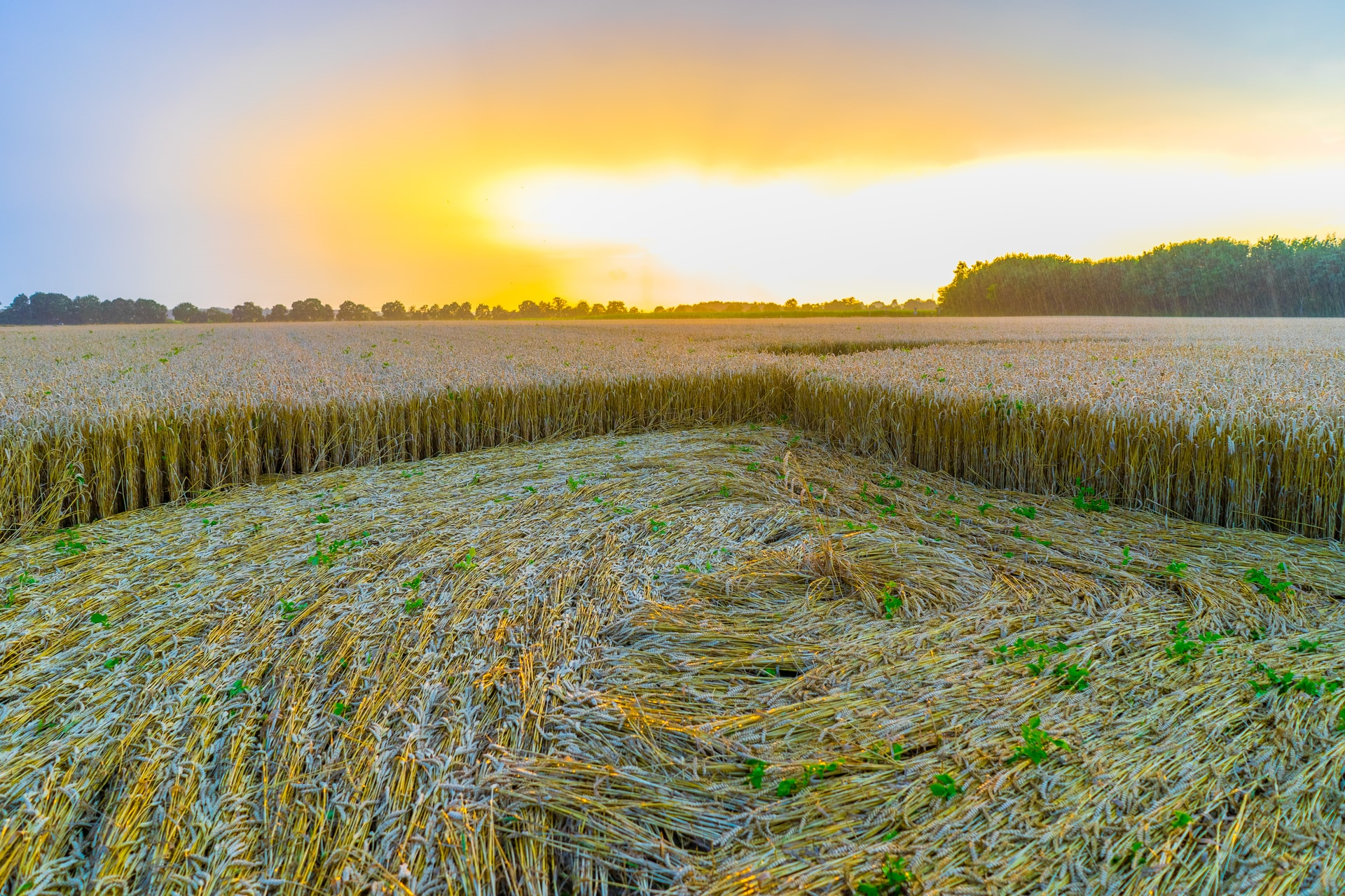 Read more about the article (par 5.1.4.1.1)  Study- How existing cropland could feed billions more