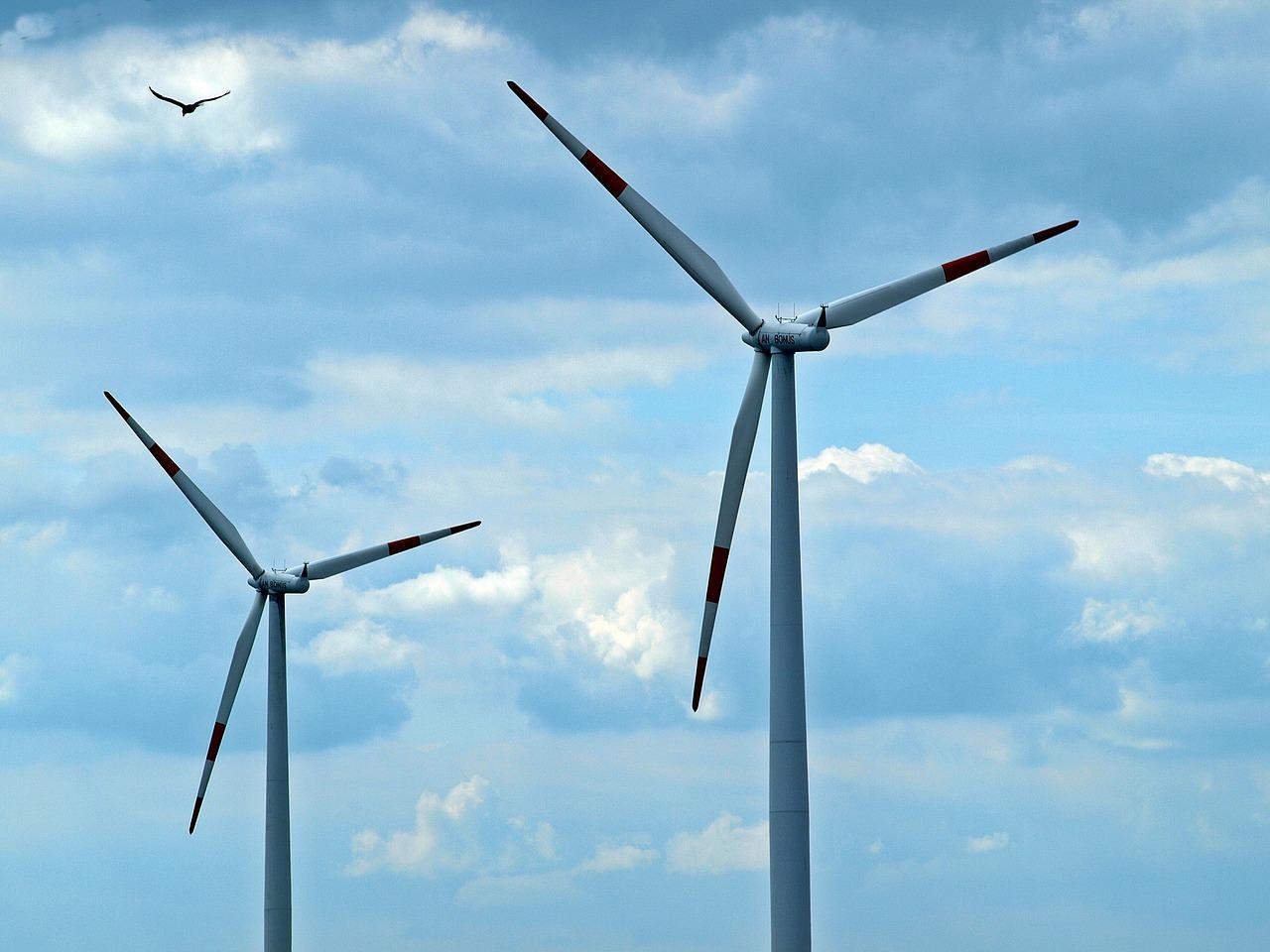 Read more about the article (par 6.3.2.2. 5) Environmental impact of wind power