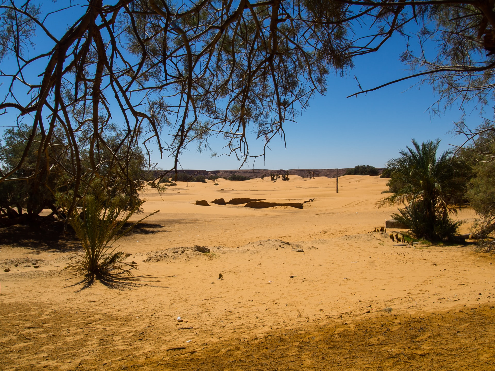 Read more about the article (par 7.3.2) Desertification (taken from Wikipedia)