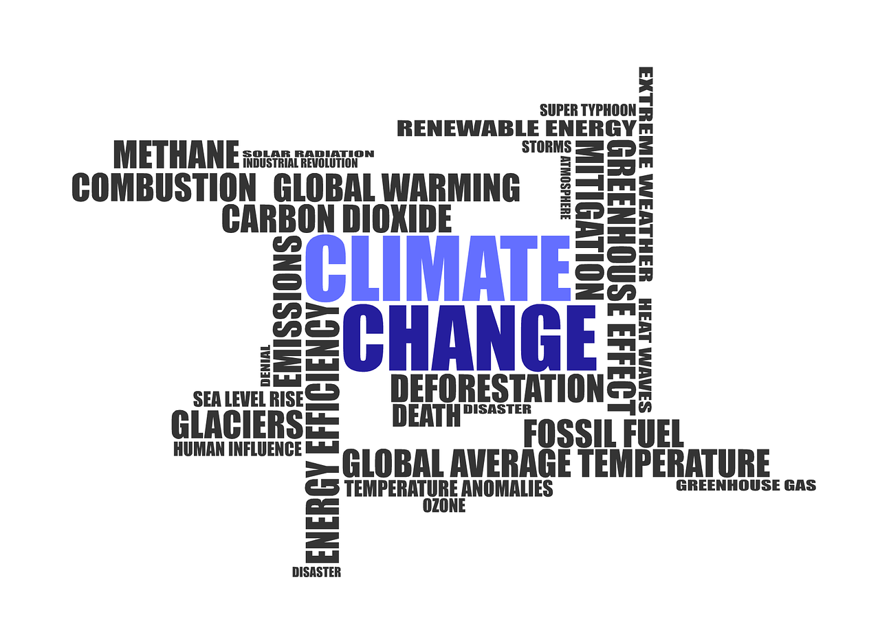 Read more about the article (par 7.3.5 ) Climate change in South Africa (taken from Wikipedia)