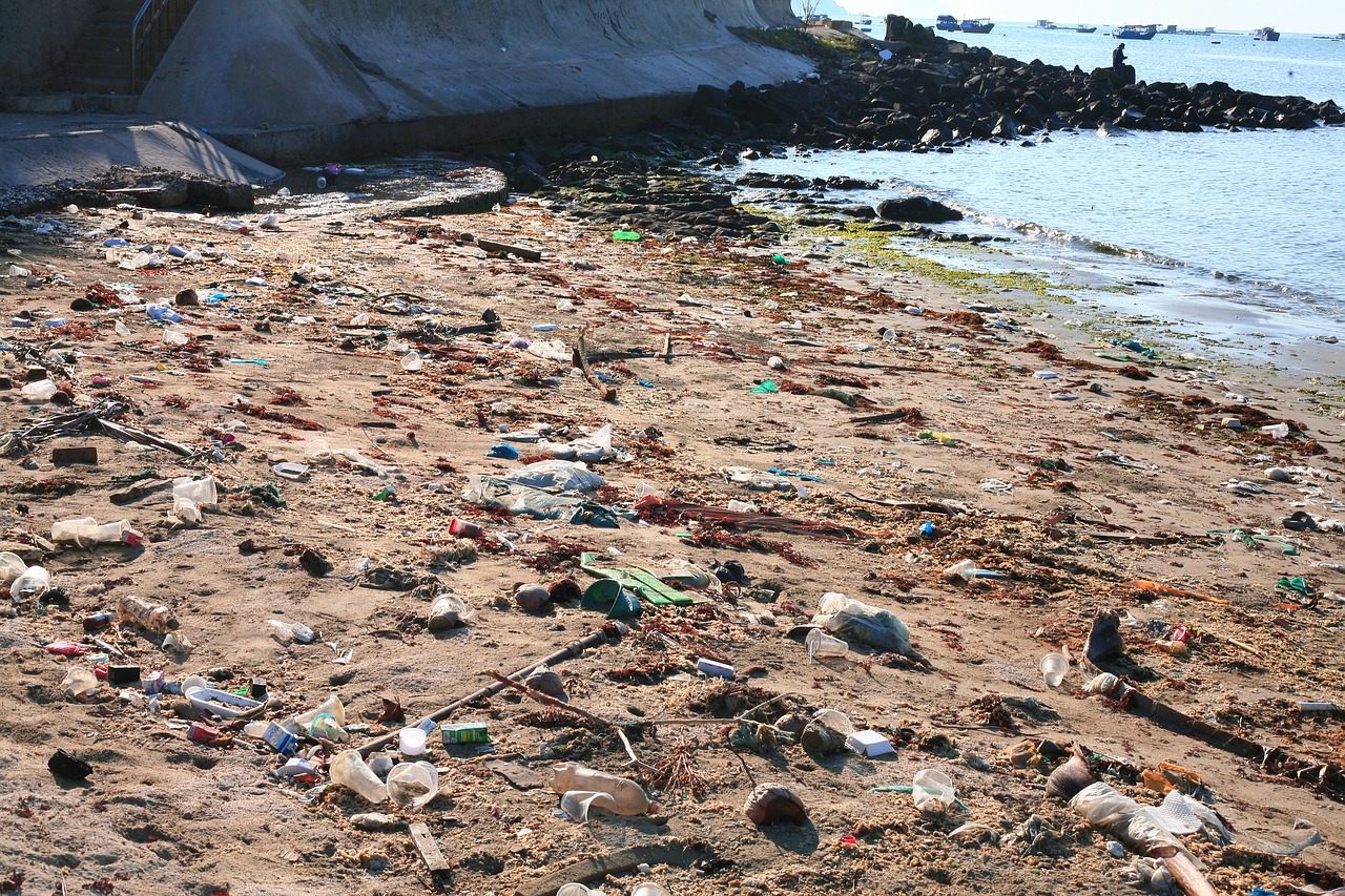 Read more about the article (par 7.4.2.2.1.10) Marine pollution (taken from Wikipedia)