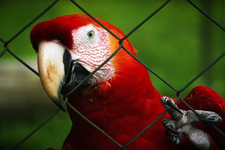 Read more about the article (par 9.7.1) What we know about the dirty business of environmental crime in the age of climate change
