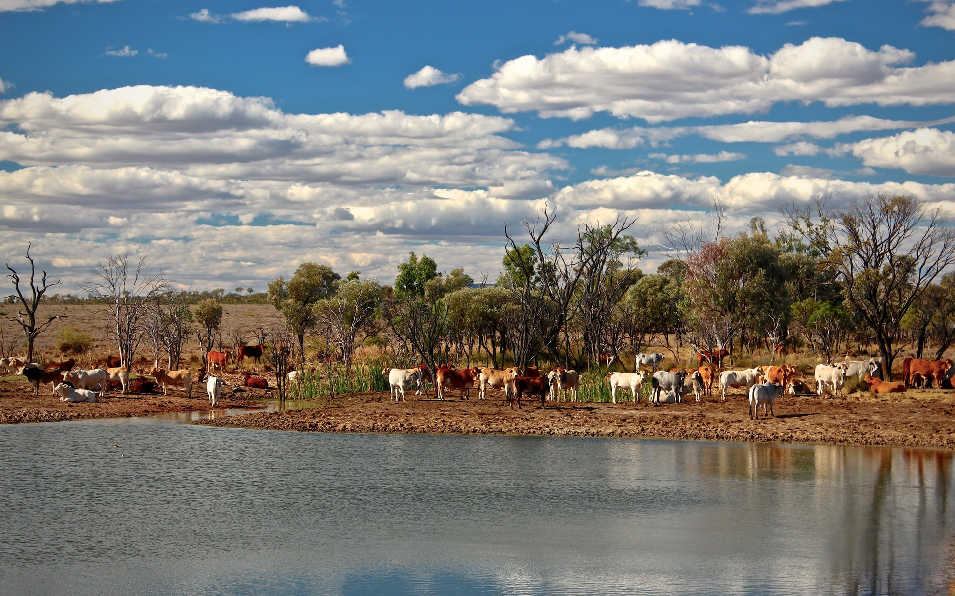 Read more about the article (par 5.4.2.2.1) Nature reserves attract humans, but at a cost to biodiversity, says study