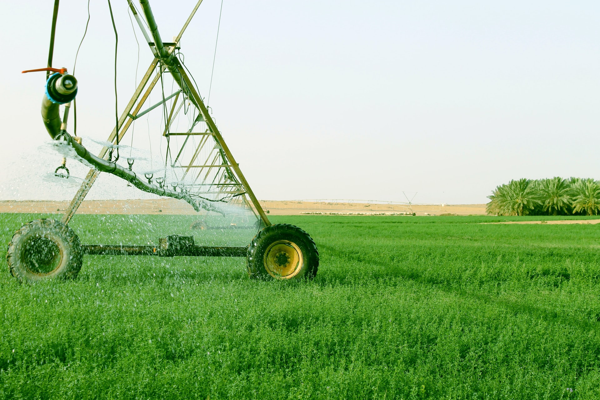 Read more about the article (par 5.4.3.2.1 ) Environmental impact of irrigation (taken from Wikipedia)