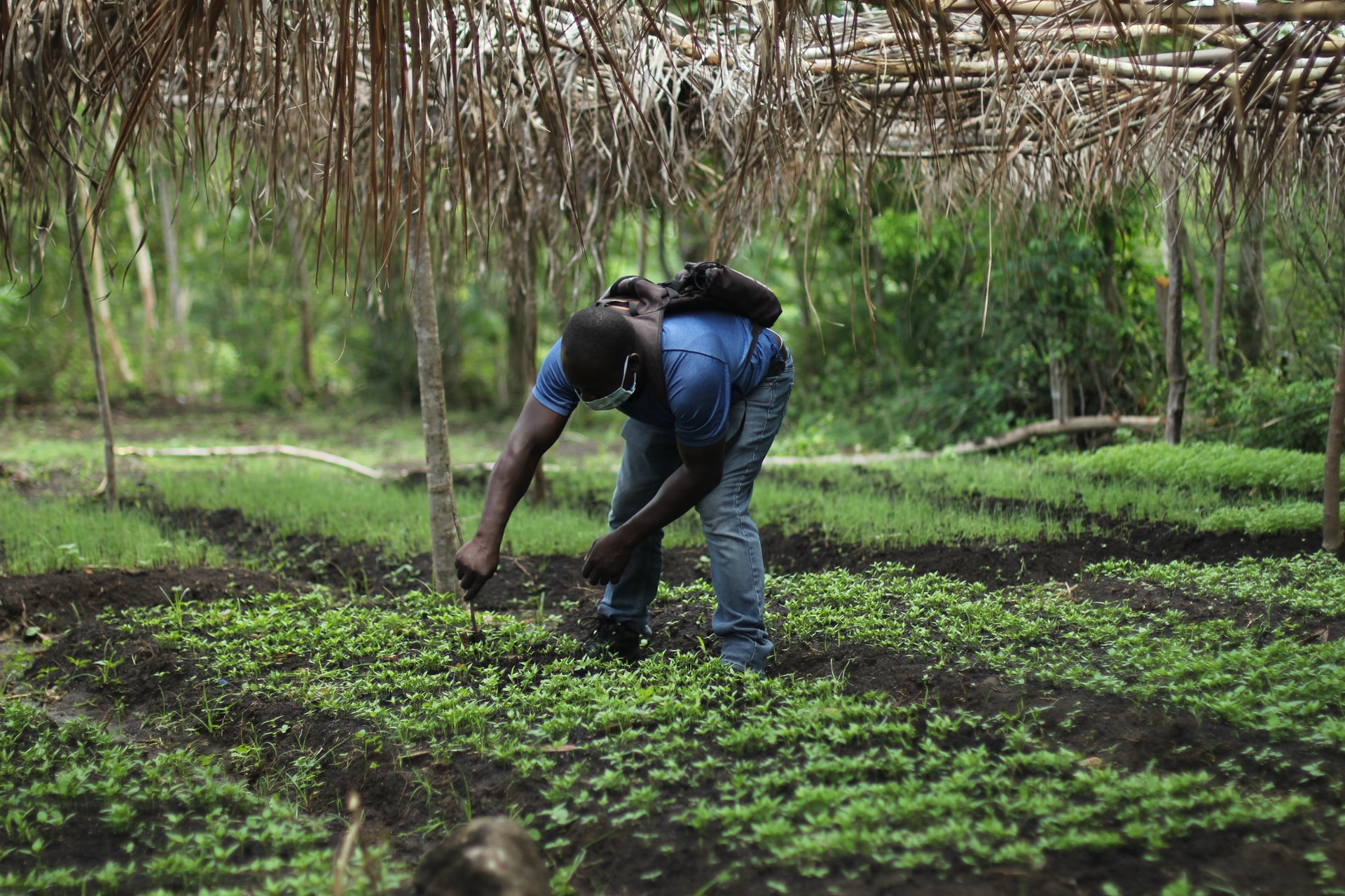 Read more about the article (par 5.4.3.2.3.1.3) Farming in harmony with nature