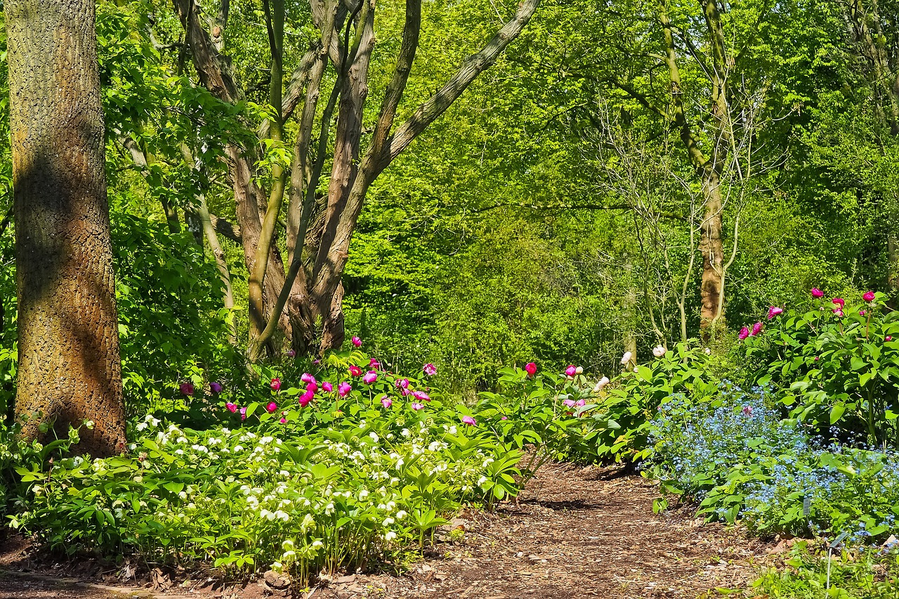 Read more about the article (par 9.7.4.4) Agroforestry Crucial in Tackling Climate Change