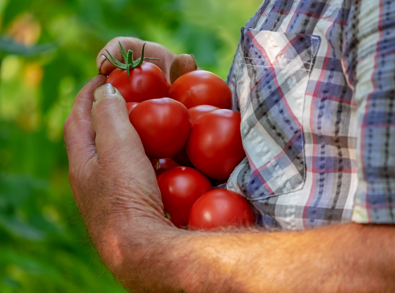 Read more about the article (par 9.7.4.7.2) How 16 initiatives are changing urban agriculture through tech and innovation