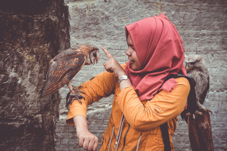 Read more about the article (par 8.4.2. 8) Biophilia hypothesis