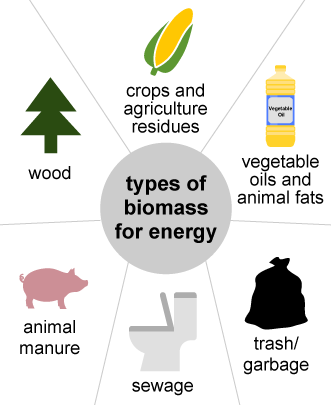 Read more about the article (par 6.3.2.2. 6.1) Biomass Explained