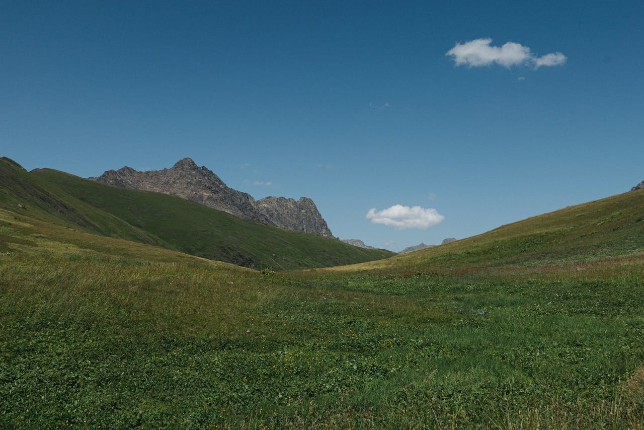 Read more about the article Par 4.2.3.2.4  Mosaic grassland landscapes are the most beneficial in terms of ecosystem services, Swiss study finds