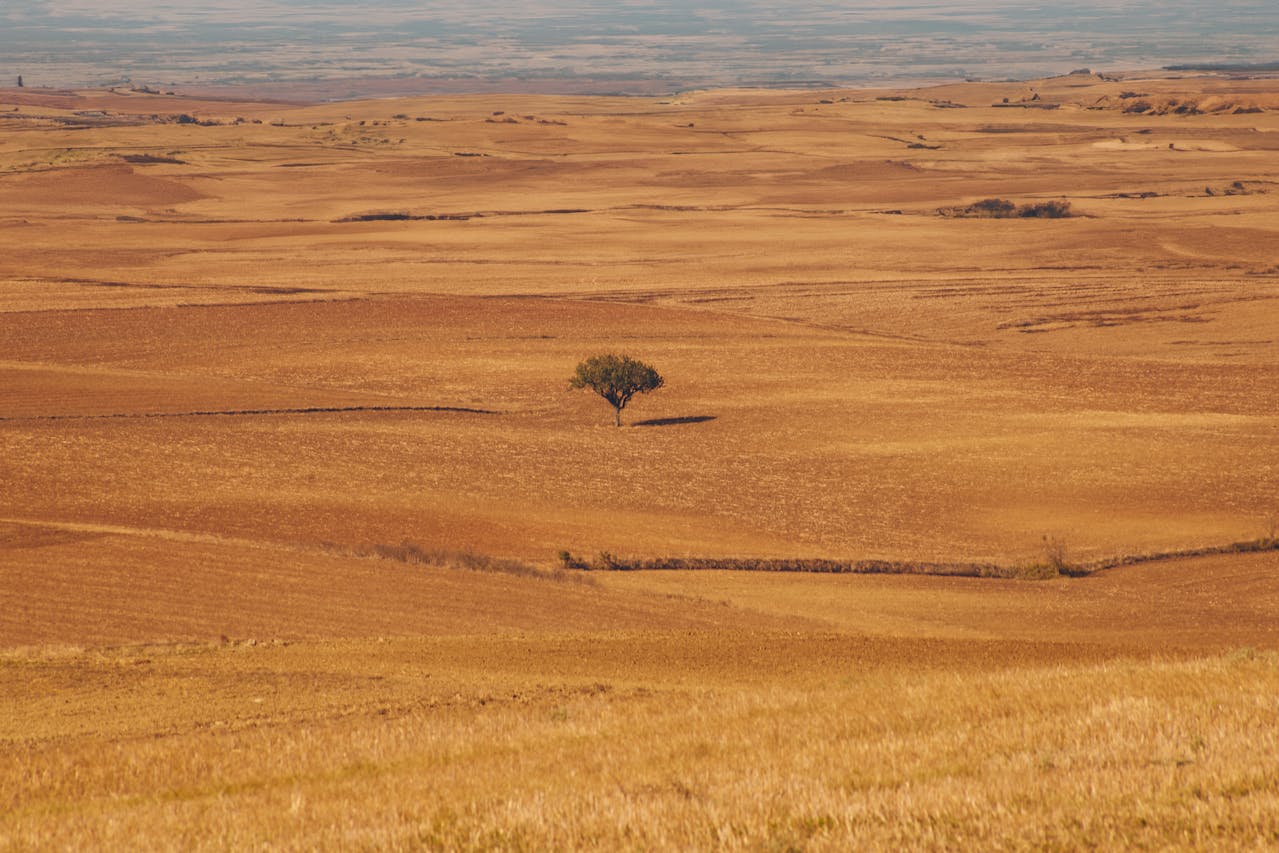 Read more about the article Par 4.2.3.2.4  Grasslands study finds increasing fertilizer use drastically reduces the number of flowers and insects